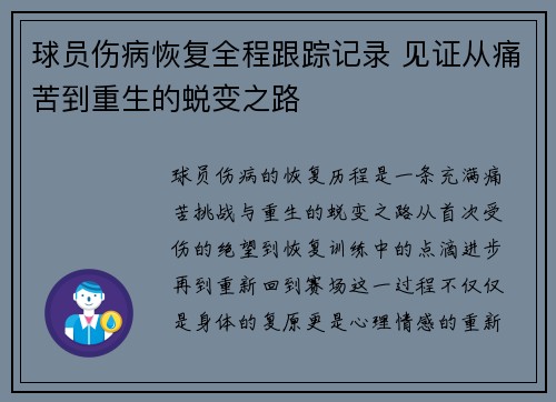 球员伤病恢复全程跟踪记录 见证从痛苦到重生的蜕变之路