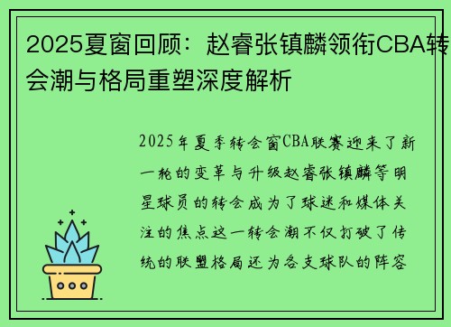 2025夏窗回顾：赵睿张镇麟领衔CBA转会潮与格局重塑深度解析