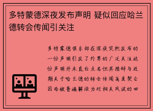 多特蒙德深夜发布声明 疑似回应哈兰德转会传闻引关注