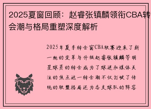 2025夏窗回顾：赵睿张镇麟领衔CBA转会潮与格局重塑深度解析